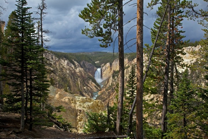 Falls in Yellowstone National Park