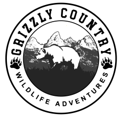 Grizzly Country Wildlife Adventures